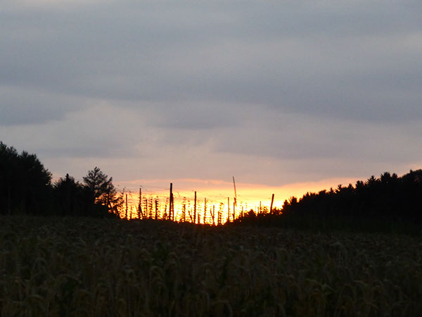 %_tempFileNameP1050047%