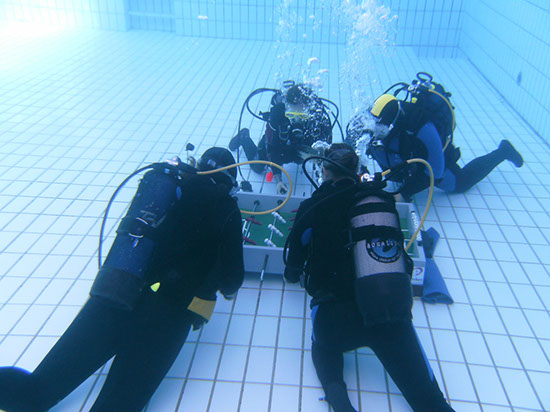 %_tempFileNamePICT0973%