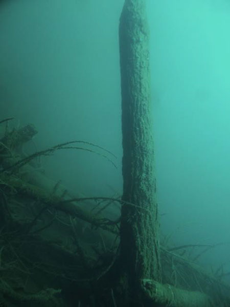 %_tempFileName600334_10200221526495706_1192285762_n%