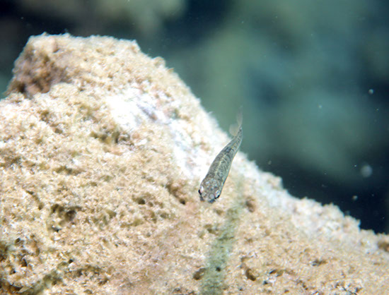 %_tempFileNameIMG_3503%