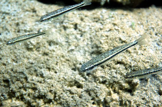 %_tempFileNameIMG_3504%