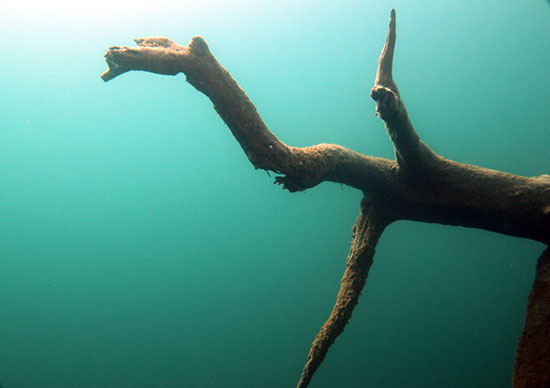 %_tempFileNameIMG_3510%