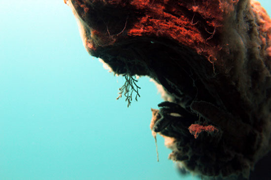 %_tempFileNameIMG_3512%