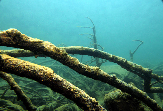 %_tempFileNameIMG_3569%