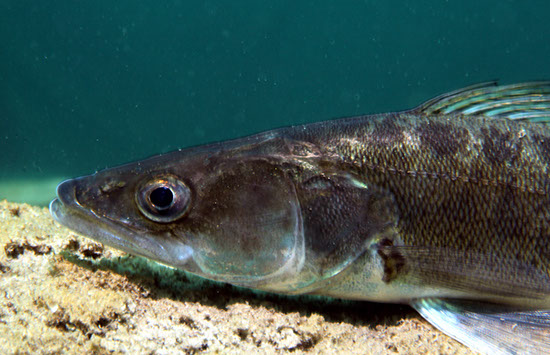 %_tempFileNameIMG_3578%