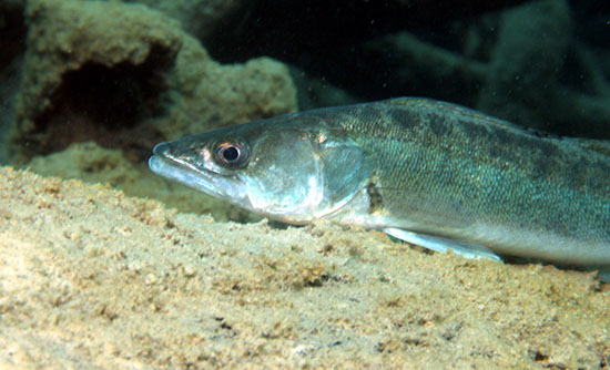 %_tempFileNameIMG_3581%