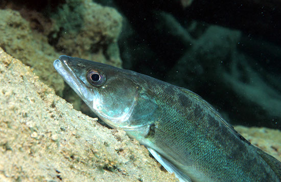 %_tempFileNameIMG_3582%