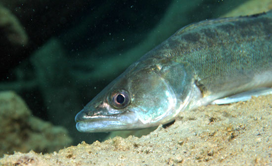 %_tempFileNameIMG_3583%