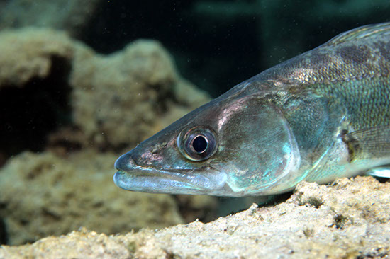 %_tempFileNameIMG_3586%