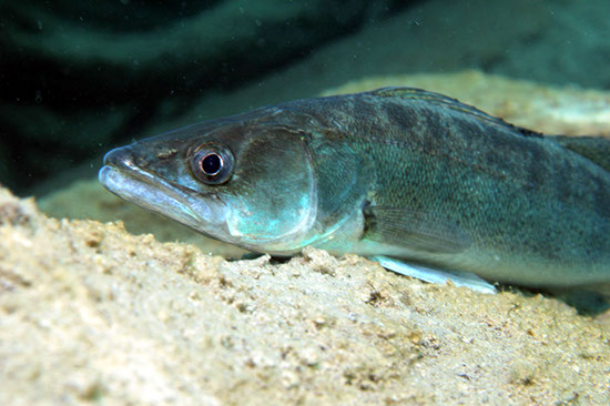 %_tempFileNameIMG_3587%