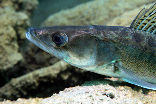 %_tempFileNameIMG_3589%