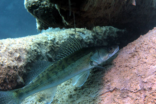 %_tempFileNameIMG_3590%