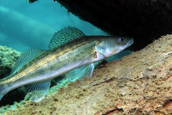 %_tempFileNameIMG_3592%