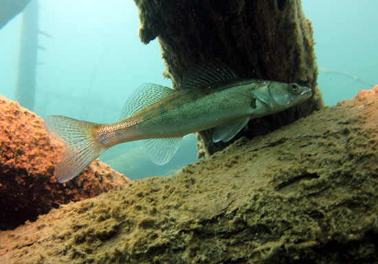 %_tempFileNameIMG_3596%