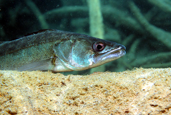 %_tempFileNameIMG_3604%