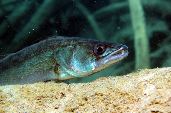 %_tempFileNameIMG_3605%