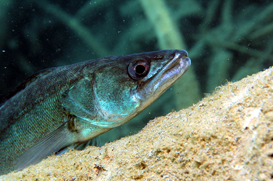 %_tempFileNameIMG_3606%