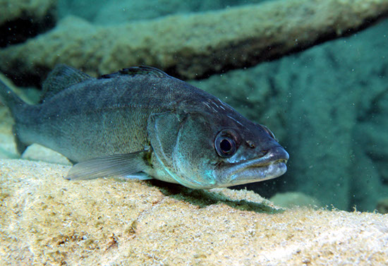 %_tempFileNameIMG_3609%