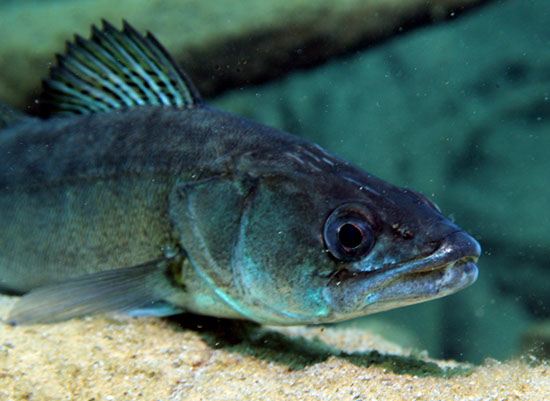 %_tempFileNameIMG_3611%