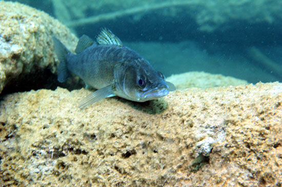 %_tempFileNameIMG_3616%