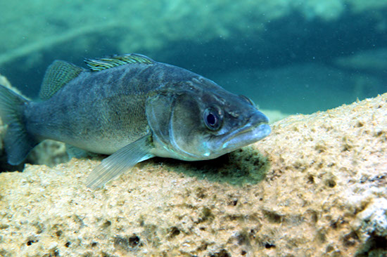 %_tempFileNameIMG_3619%