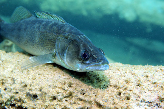 %_tempFileNameIMG_3620%