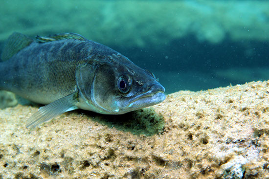 %_tempFileNameIMG_3622%