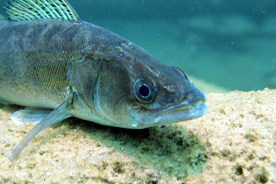 %_tempFileNameIMG_3623%