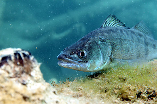 %_tempFileNameIMG_3630%