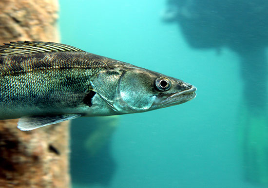 %_tempFileNameIMG_3632%