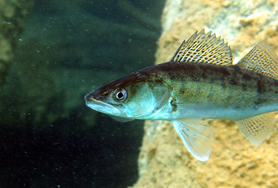 %_tempFileNameIMG_3636%