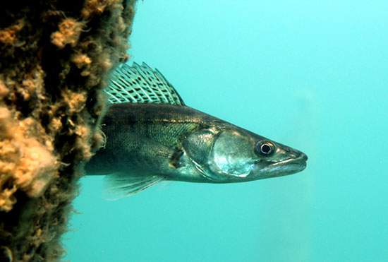 %_tempFileNameIMG_3640%