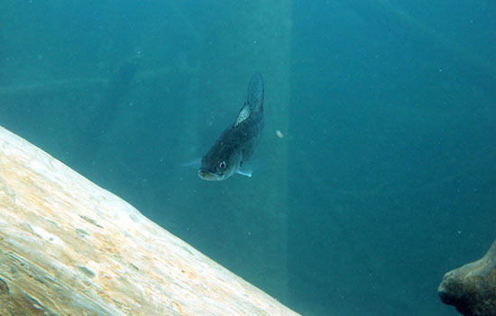 %_tempFileNameIMG_3645%