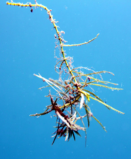 %_tempFileNameIMG_3655%