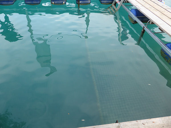 %_tempFileNameP1050495%