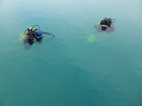 %_tempFileNameP1050518%