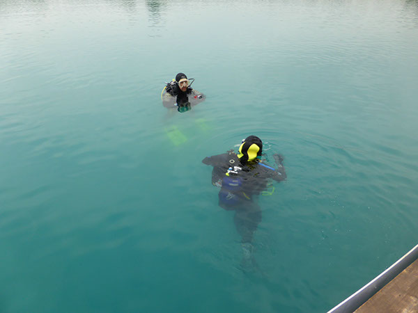 %_tempFileNameP1050519%