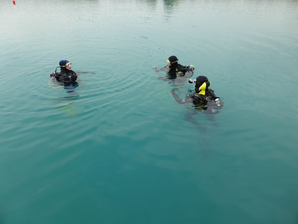 %_tempFileNameP1050520%