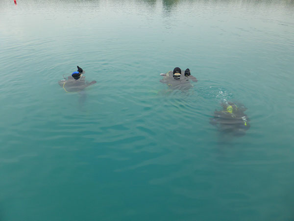 %_tempFileNameP1050523%