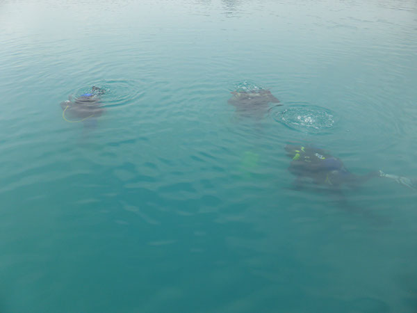 %_tempFileNameP1050524%