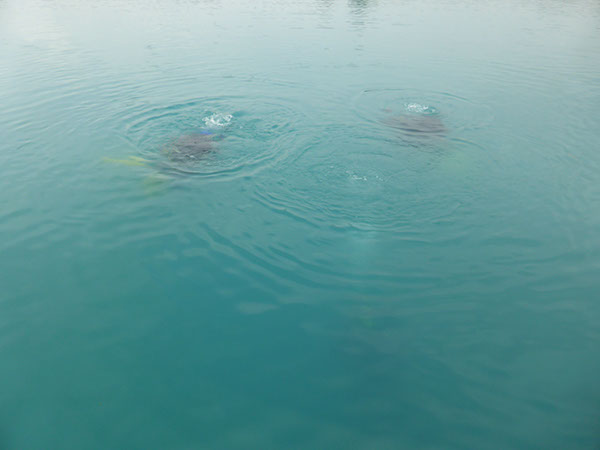 %_tempFileNameP1050525%