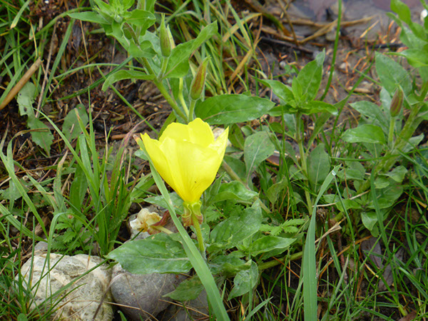 %_tempFileNameP1050541%