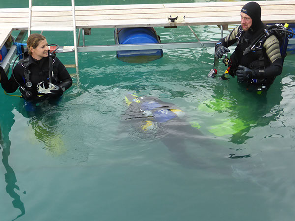 %_tempFileNameP1050556%