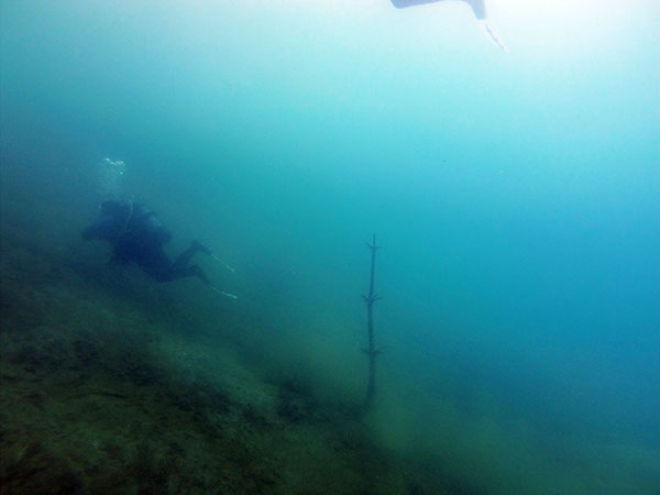 %_tempFileName2015_Antauchen_TSV_g_034%