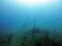 %_tempFileName2015_Antauchen_TSV_g_005%