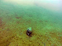 %_tempFileName2015_Antauchen_TSV_g_015%