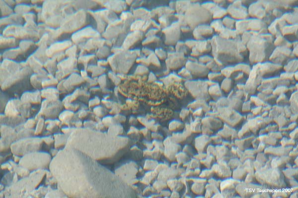 Antauchen_Urisee_07-04-2#29