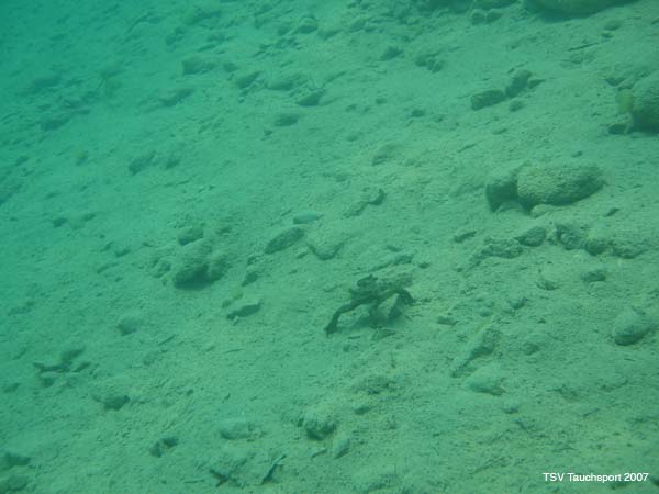 Antauchen_Urisee_07-04-2#68