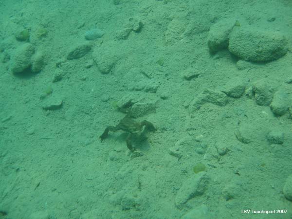 Antauchen_Urisee_07-04-2#69