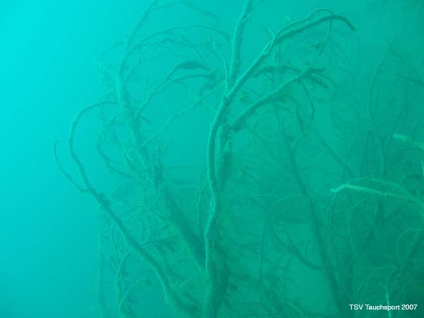 Antauchen_Urisee_07-04-2#7B
